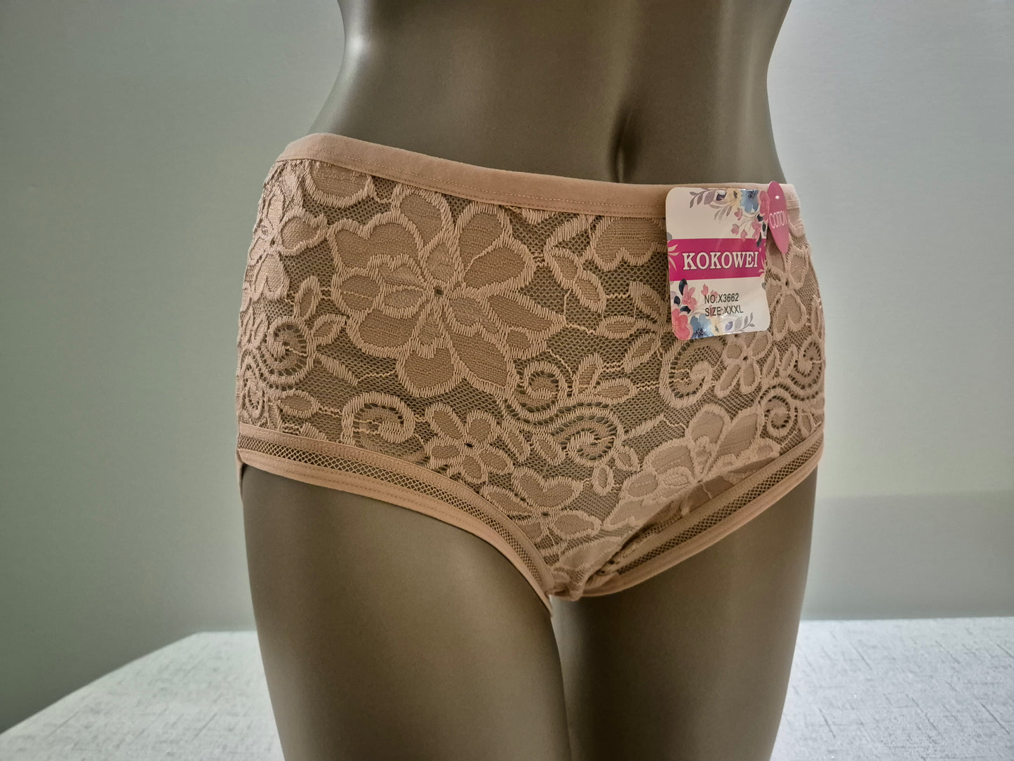 Culotte en Coton et dentelle COLINE 3662 Rose Poudré (LZ) GRANDE TAILLE
