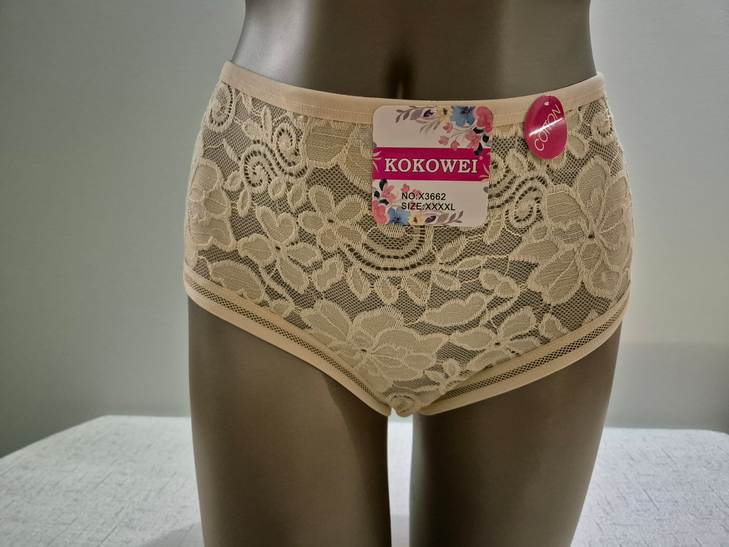 Culotte en Coton et Dentelle COLINE 3662 Beige (LZ) GRANDE TAILLE