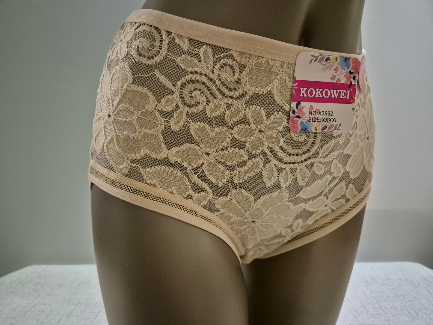 Culotte en Coton et Dentelle COLINE 3662 Beige (LZ) GRANDE TAILLE