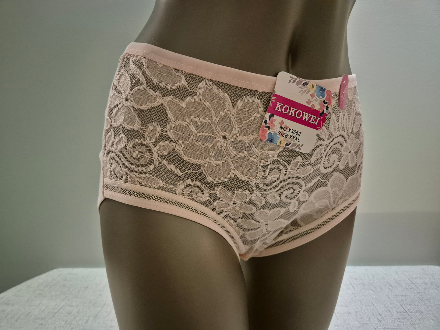 Culotte en Coton et Dentelle COLINE 3662 Rose (LZ) GRANDE TAILLE