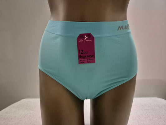Culotte en Microfibre JEANNE 6057 Bleu Ciel (LZ) GRANDE TAILLE