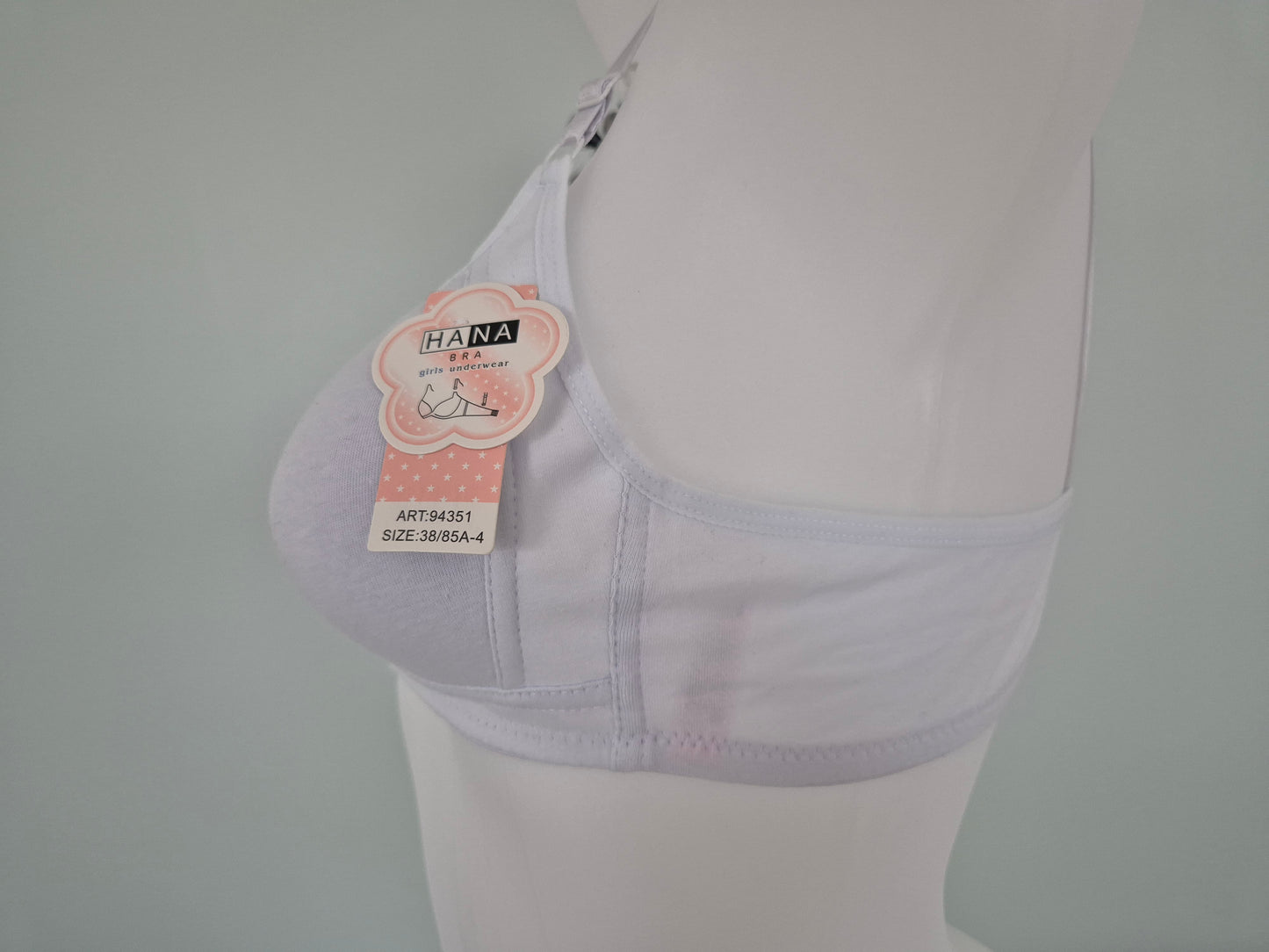 Soutien-gorge SARAH 94351 Blanc (LZ)